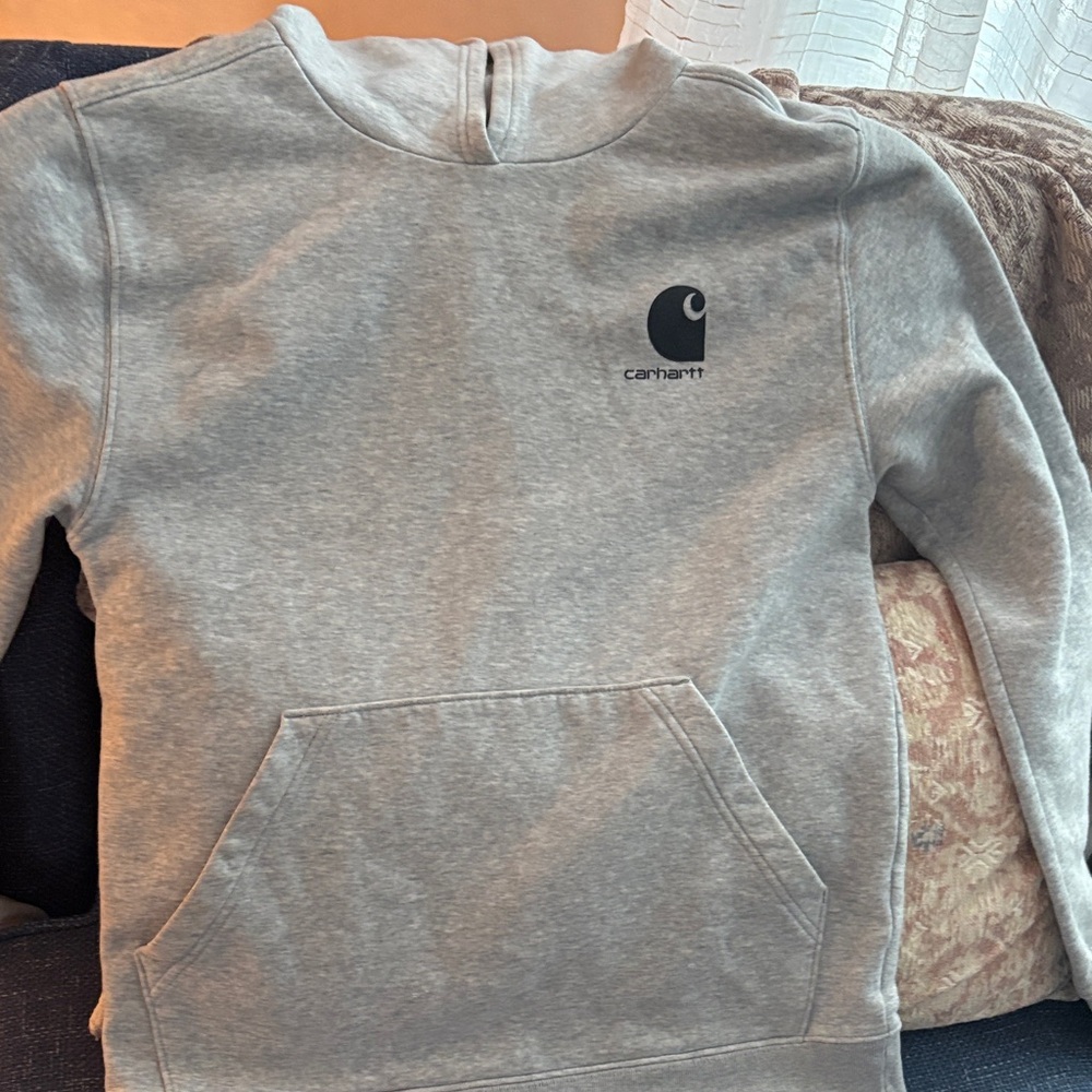 Carhartt Light Gray Hoodie